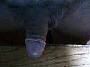 lekker, foto 320x240, 0 reacties, 1 stemmen