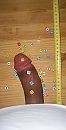 lekkere vrolijke kleuren!, foto 1694x3306, 0 reacties, 4 stemmen