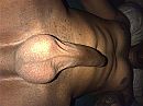 me pik en me body, foto 2560x1920, 1 reacties, 2 stemmen