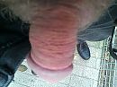 mijn lekkere lul, foto 3264x2448, 0 reacties, 2 stemmen