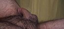 mijn verlegene, foto 600x279, 0 reacties, 6 stemmen