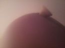 mm, foto 3264x2448, 2 reacties, 3 stemmen