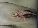 muis, foto 2048x1536, 4 reacties, 13 stemmen