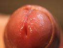 natte eikel mmmm, foto 995x759, 4 reacties, 16 stemmen