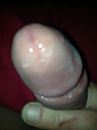 natte eikel, foto 600x800, 0 reacties, 1 stemmen