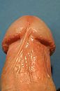 natte pik, foto 2592x3872, 0 reacties, 1 stemmen