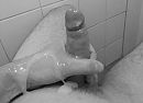 net gespoten, foto 640x466, 13 reacties, 34 stemmen
