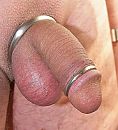 nieuwe eikelring, foto 1585x1731, 3 reacties, 7 stemmen