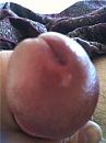 op verzoek, foto 360x480, 1 reacties, 3 stemmen