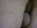 pic14, foto 1280x960, 0 reacties, 1 stemmen