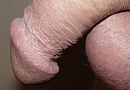 pik, foto 1260x881, 0 reacties, 3 stemmen