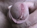precum, film 00:02:51, 3 reacties, 18 stemmen