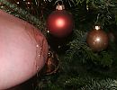 prettige kerstdagen allemaal, foto 2011x1559, 16 reacties, 60 stemmen