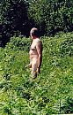 puur natuur, foto 500x777, 53 reacties, 123 stemmen