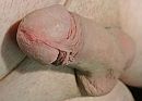 rusten, foto 1982x1433, 0 reacties, 1 stemmen
