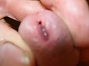 spuitmondje, foto 1600x1200, 1 reacties, 4 stemmen