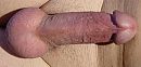 stijve pik, foto 1414x677, 0 reacties, 4 stemmen