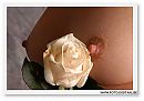 studio borsten, foto 800x565, 0 reacties, 2 stemmen
