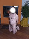 ten dienst, foto 1848x2464, 5 reacties, 7 stemmen