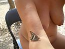 vlinder, foto 2048x1536, 3 reacties, 17 stemmen