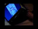 Voor geilecilou, film 00:03:53, 0 reacties, 3 stemmen