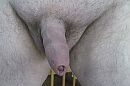 wie wil hem verder hard maken, foto 2048x1360, 1 reacties, 4 stemmen