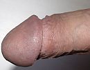 wil je, foto 912x717, 0 reacties, 3 stemmen