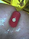 xxxxxxx, foto 480x640, 1 reacties, 2 stemmen