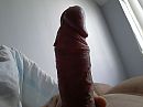 zo werd ik wakker, foto 1600x1200, 0 reacties, 1 stemmen