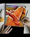 ..., foto 720x887, 0 reacties, 2 stemmen