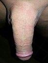 .., foto 1805x2357, 0 reacties, 1 stemmen