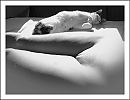 2 poesjes, foto 3235x2495, 3 reacties, 16 stemmen