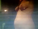 voor de webcam..., film 00:01:30, 6 reacties, 87 stemmen
