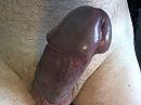 5, foto 2592x1944, 1 reacties, 4 stemmen