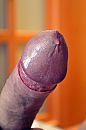 5, foto 800x1200, 0 reacties, 2 stemmen