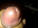 6, foto 640x480, 0 reacties, 1 stemmen