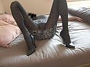 91, foto 2608x1952, 3 reacties, 6 stemmen