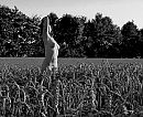 An, foto 4000x3283, 1 reacties, 30 stemmen