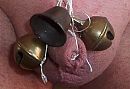 Belletjes, foto 500x345, 0 reacties, 4 stemmen