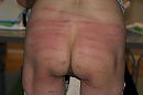 Cane, foto 2304x1536, 3 reacties, 8 stemmen