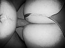 Close up, foto 800x600, 1 reacties, 4 stemmen