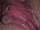 Close, foto 1000x750, 1 reacties, 9 stemmen