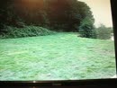 Co wandelt, film 00:00:01, 1 reacties, 9 stemmen