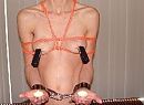 Dienen, foto 299x219, 2 reacties, 6 stemmen