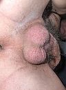 Dikke ballen vol wachtend sper, foto 1936x2592, 0 reacties, 4 stemmen