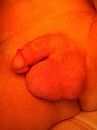 Dit is van mij, foto 480x640, 0 reacties, 2 stemmen