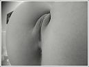Een van de mooiste foto's, foto 998x754, 4 reacties, 39 stemmen