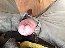 Eikeltje, foto 2592x1936, 0 reacties, 1 stemmen