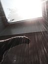 Enjoying the sun., foto 1536x2048, 0 reacties, 2 stemmen