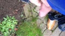 Even snel een plasje doen, film 00:00:01, 0 reacties, 7 stemmen